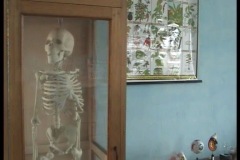 IMG-0035