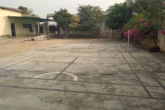 IMG-0036