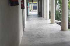 IMG-5581